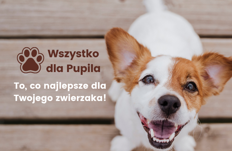 Wszystko dla Pupila
