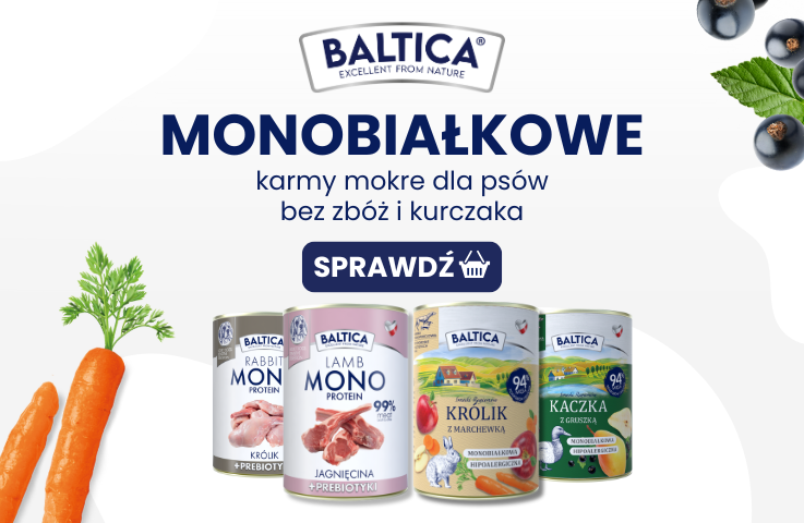 Baltica baner